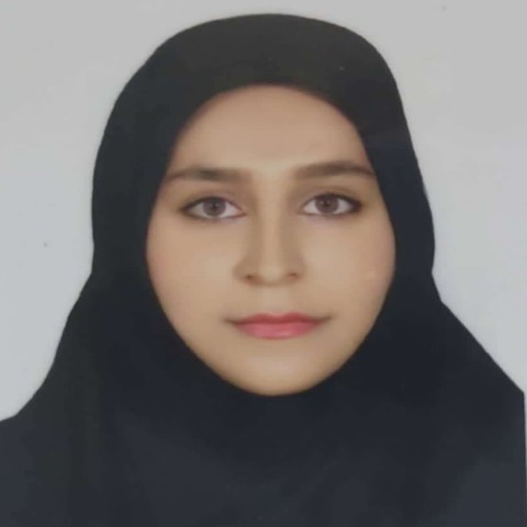 مدیر مرکز طرح، برنامه و ارزیابی