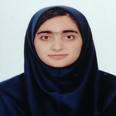 مدیر سایت