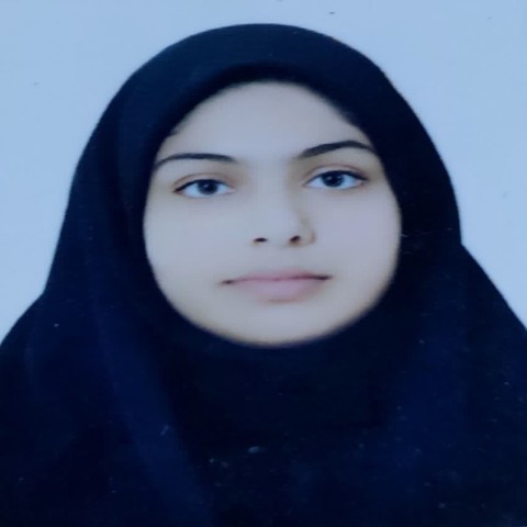 مدیر فناوری اطلاعات و فضای مجازی